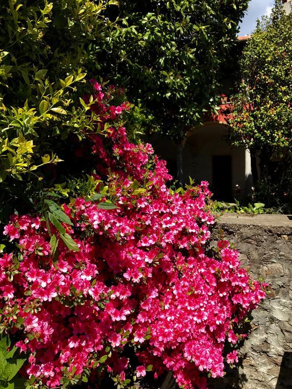 Casamariuccia Guest House Massino Visconti Exterior foto